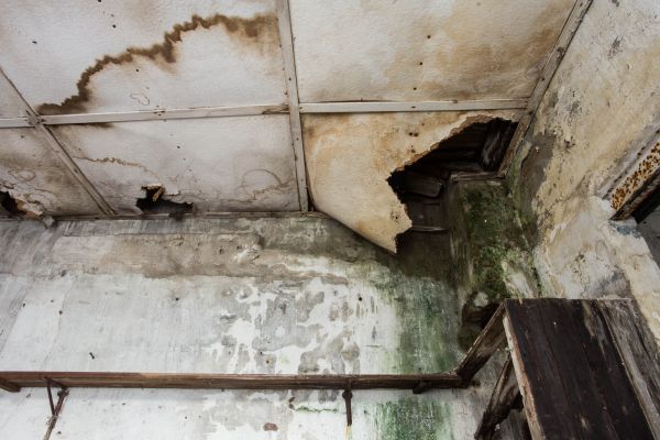 Water Damage Service in Placerville