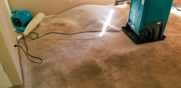 Flood Damage Cleanup in Placerville