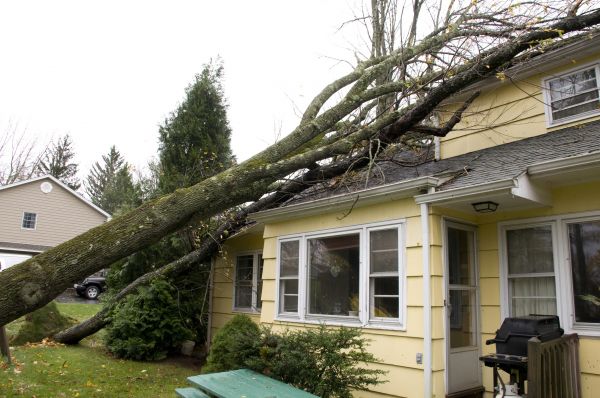 Hurricane Damage Repair in Placerville